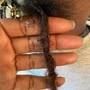 Large coils starters from the scalp to the top of the ear.