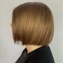 Short Hair Partial Highlight/Lowlight + Cut