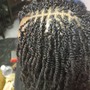 Poetic Justice Braids