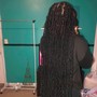 Boho Locs