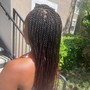 Small Senegalese Twist