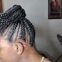 Small Braided Ponytail