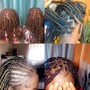 Feed in Braids