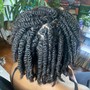 Starter Locs x Two Strand twist method