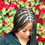 Box Braids ( Med  )