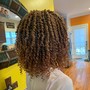 Crochet Braids w/ pre-braided/twisted extention