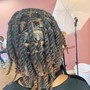 Starter locs