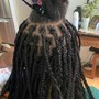 Medium Box Braids