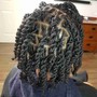 Starter Top Locs (no side hair or back) LocSmith Technique