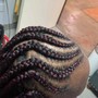 Tribal  Braids