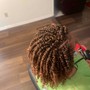 Crochet(locs and twist)