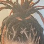 Retwist (No wash or style included)