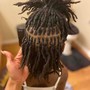 Basic Dreadlocks wash