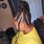 Braided Ponytail (large)