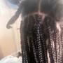 Medium size Kid's box Braids