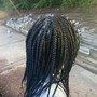 Medium Knotless Braids w/ Peek-A-Boo Color