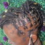 Butterfly locs