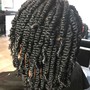 Two strand Twist Out, Flat twists to bun Package