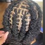 At home Comb Twist