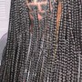 Butterfly Locs Regular length