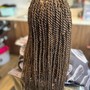 Two strands Twists