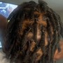 Starter Locs