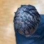 Loc Retwist N Style