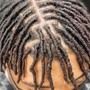 Starter Locs