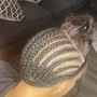 Men Cornrows