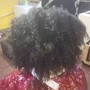 Root Touch Up