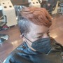 Root Touch Up