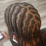 Comb Twist