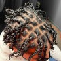 Starter Locs Coils