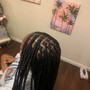 Braids w/ Color tuck