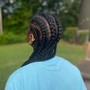 Medium Box/Knotless Braids