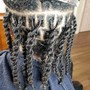 Starter Top Locs (no side hair or back) LocSmith Technique