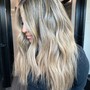 Partial Highlights