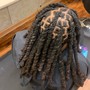 Micro/Sister Locs