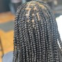 Med Knotless Box Braids