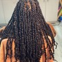 Passion Twist / Regular Twist