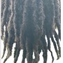 Instant Locs