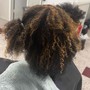 Root Touch Up