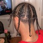 (2) Stitch Braids, Natural Hair