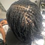 Consultation(Sisterlocks and Microlocks