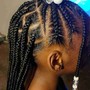 Small Braid ponytail with knotless braids