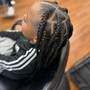 Starter Locs