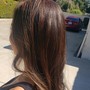 Partial Highlights