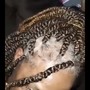 Natural Twists