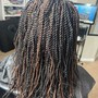 Braid(cornrow) Style With Hair added XL Braids