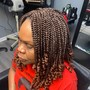 Root Touch Up